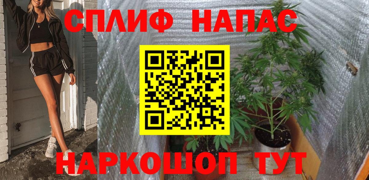 Бошки Шишки Amnesia  Марихуана семена  Канабис MAZAR  МАРИХУАНА план  Ревда  Вход с VPN 